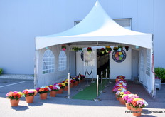 Entrance of KP Holland